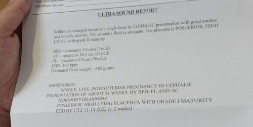 Pelvic Ultrasound 22weeks