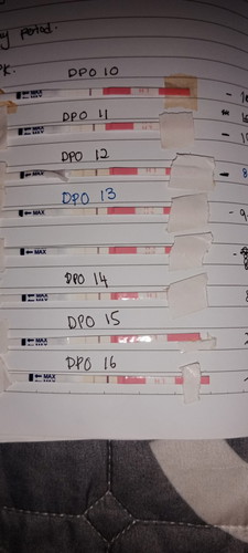 Opk jadi positive ambik masa panjang ke....sbb 1st time Guna opk..gambar nie +ve atau - ve