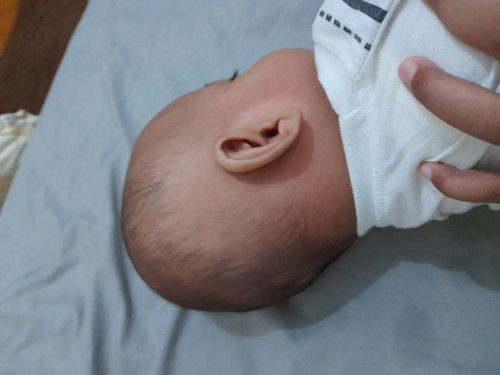 Shampo penumbuh rambut