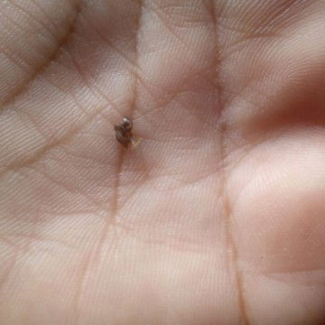 3minggu setelah melahirkan normal