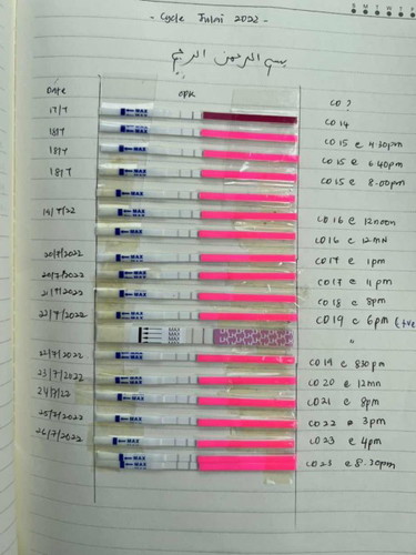 OPK result