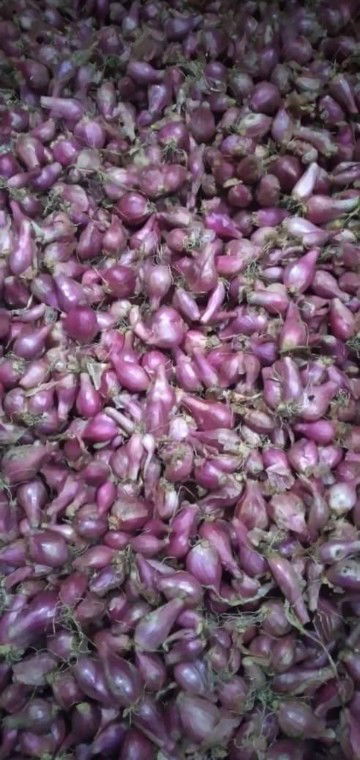 Rasanya dari hamil sampai lahiran pengen bgt makan biskuit hamil tp mau beli gak di bolehin sama bdn