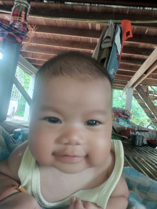 Post reply image
