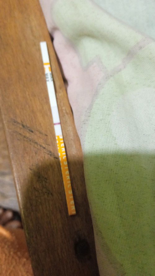 Msh blum jlas dgn pemeriksaan