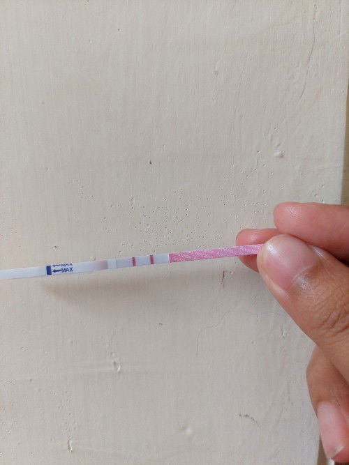 Bismillah... Allahuakbar