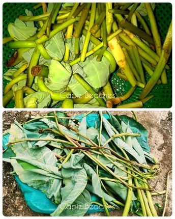 Abalong leaves ba ay pwede sa buntis?