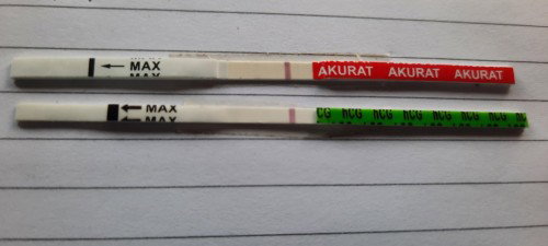 Garis samar atau bukan