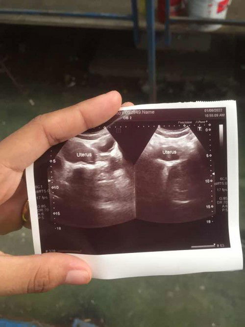 แม่ๆเห็นน้องไหมค่ะ