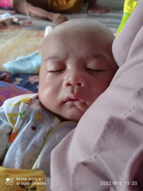 Pup bayi berlendir coklat dan bercak darah