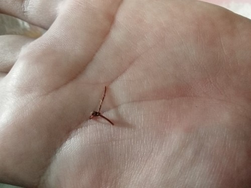 ้คุณแม่มือใหม่