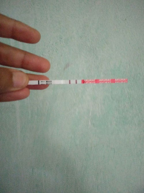 Mau tanya bunda² saya pernah keguguran krna janin Tdk berkembang..