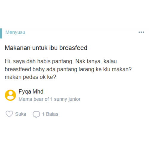 Makanan untuk ibu breasfeed