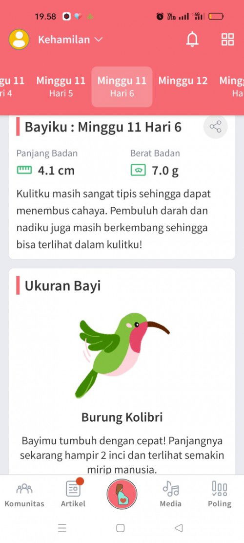 Ukuran Bayiku