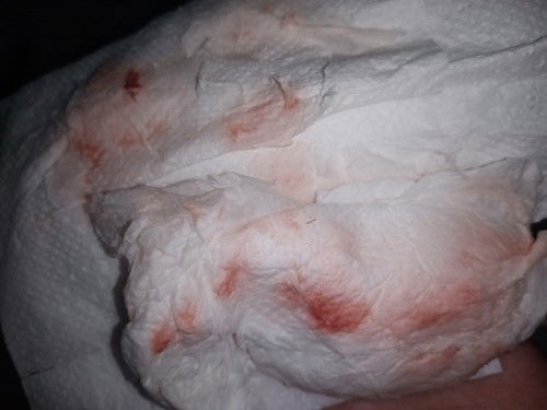 ขอสอบถามหน่อยค่ะ