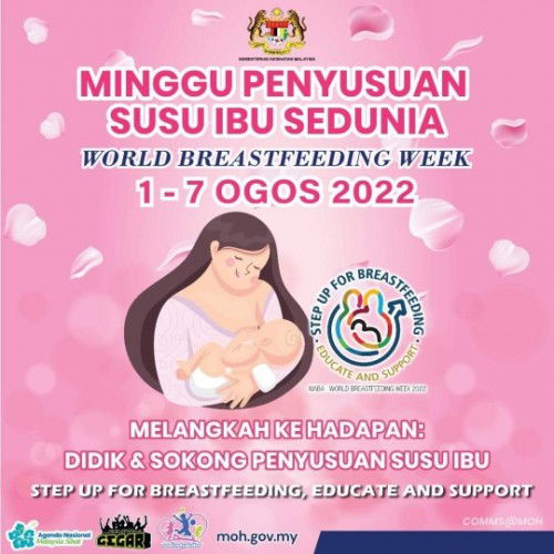 Melangkah Ke Hadapan:  Didik & Sokong Penyusuan Susu Ibu