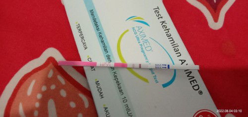 bismillah diberi amanah lagi