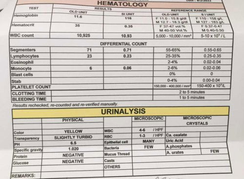 Ano po kaya interpretation nitong lab result ko? Nagwworry po kasi ako. Next week pa balik ko sa ob