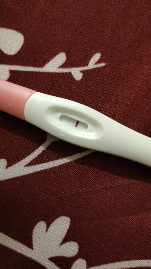 Logik ke upt 1 bulan samar