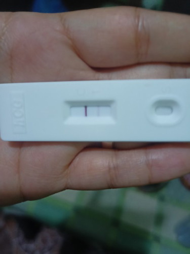 Pregnancy test