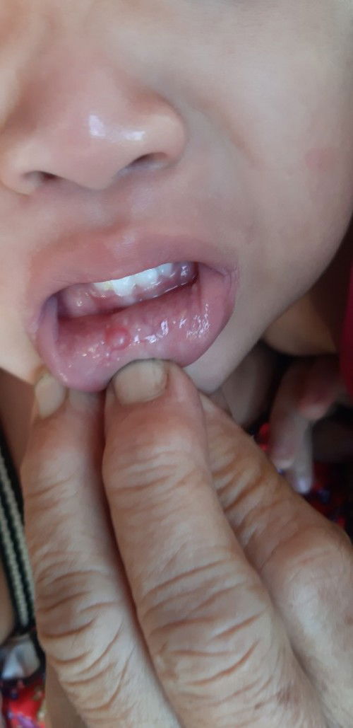 Cho em hỏi xíu ạ