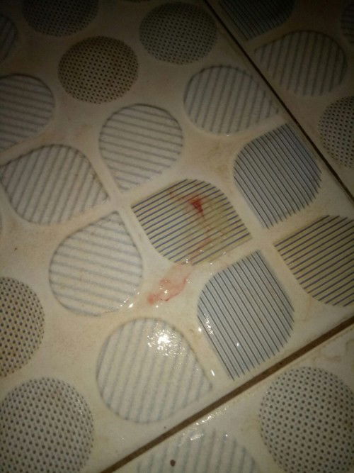 Brpa lama proses persalinan stelah kluar lendir campur darah