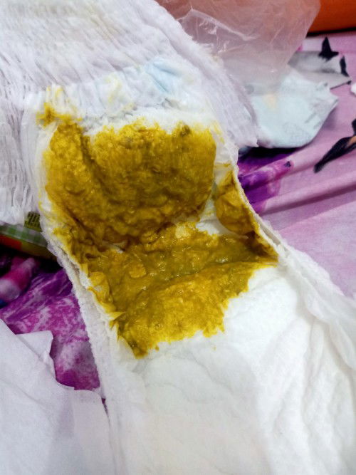 Pup Bayi Sufor 2,5 Bulan