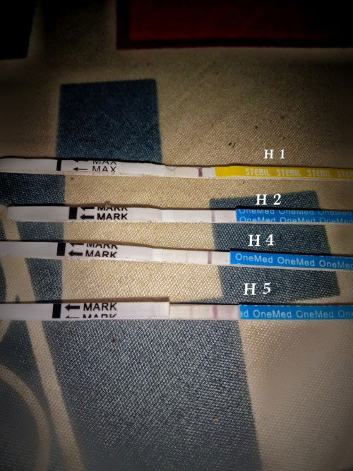 Positif atau negatif