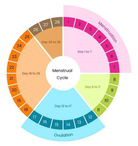 Dalam istilah perubatan, tidak wujud keadaan di mana seseorang wanita itu hamil 1-2 minggu.