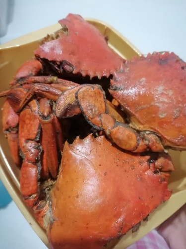 Crabs and shrimp