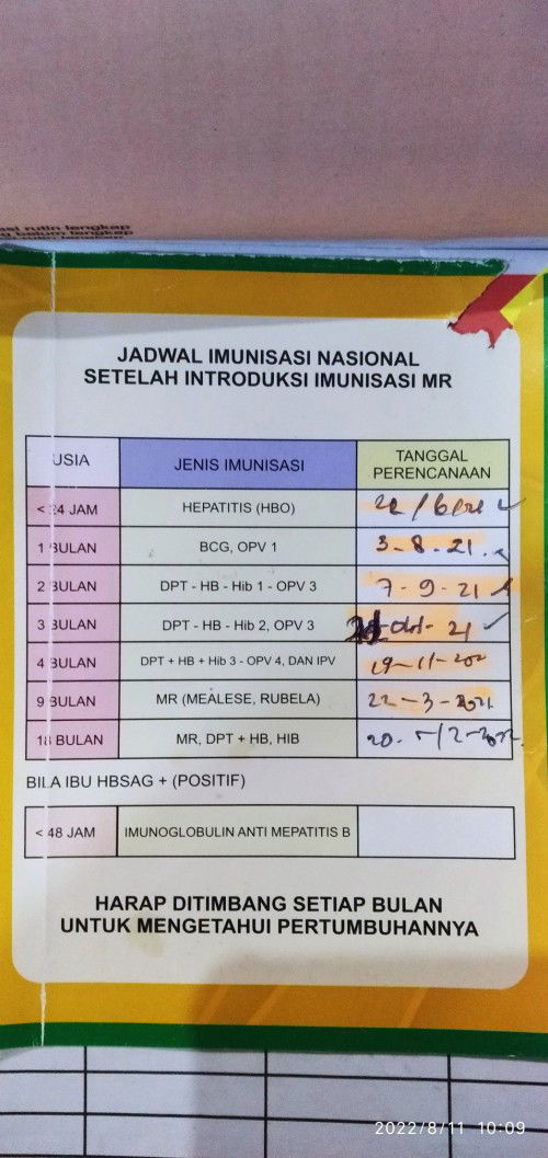 Imunisasi BIAN campak rubella