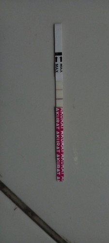 Hamil ku 9
