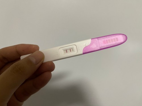 Pregnancy Test Result