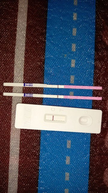 Apakah ada  yg sama?