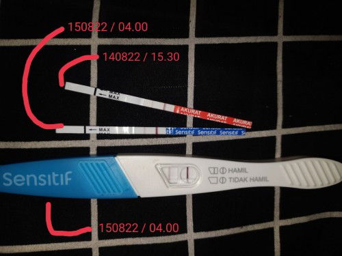 Apakah saya hamil dan kapan waktu tepat utk ke dokter