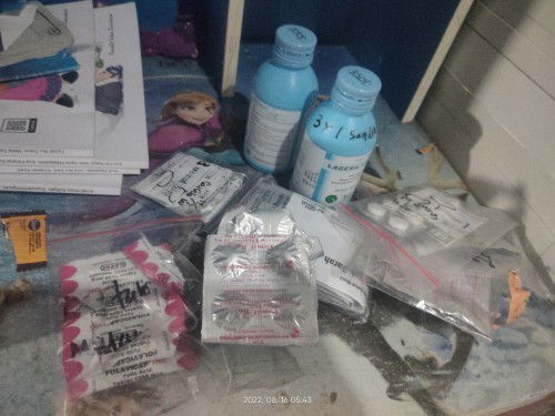 Teler di trimester 1