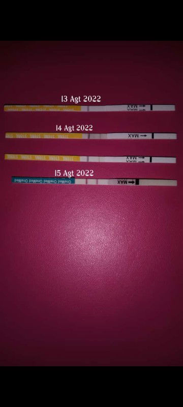 Sudah telat 3 hari, apa bisa dikatakan hamil bunda?