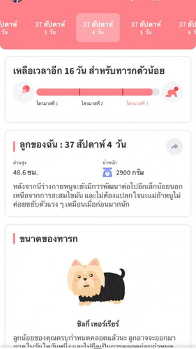 37 4 ท้องปั้นแข็งถี่มากเป็นมาสองวันแล้วแบบนี้อันตรายไหมแล้วควรไปพบแพทย์ไหม ลูกยังดิ้นดีปกติค่ะ