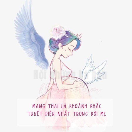 Mèo tháng 2 có mom nào kg ạ??
