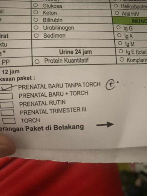 Cek lab prenatal baru