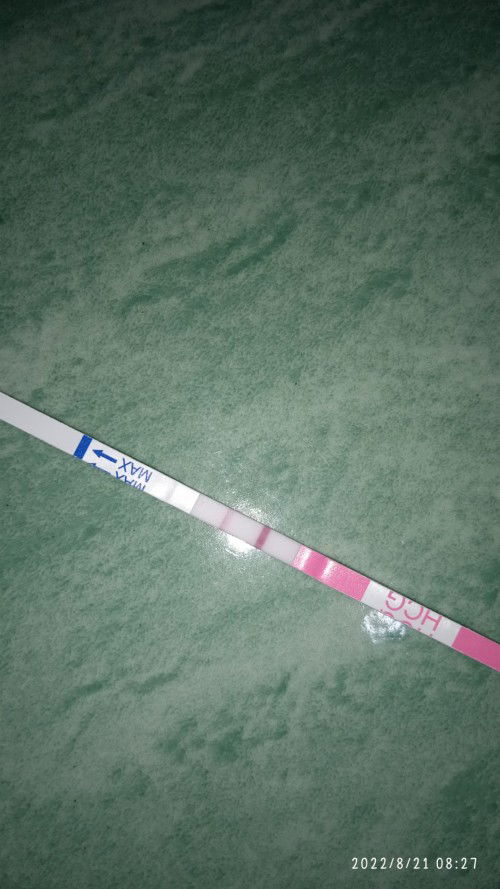 Garis dua tetapi belum lewat haid