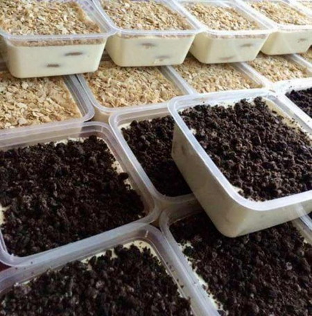 Cheesybeeskut  Leleh 👩🏻🍳