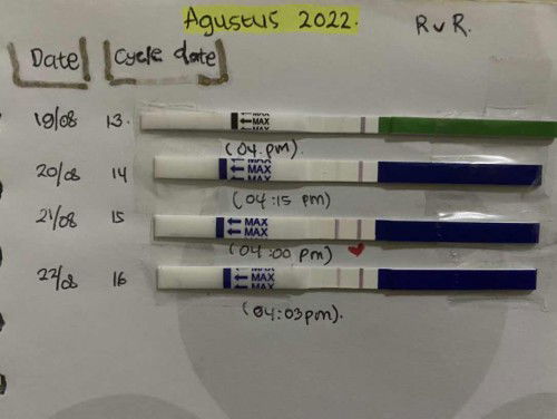 Promil dengan Tes Ovulasi