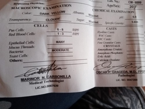 Urinalysis Result