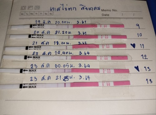 ทดสอบไข่ตก