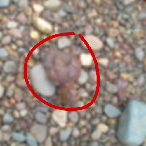 Poop color ni baby, bakit Po kaya dark black brown, is it normal for 3 years old?