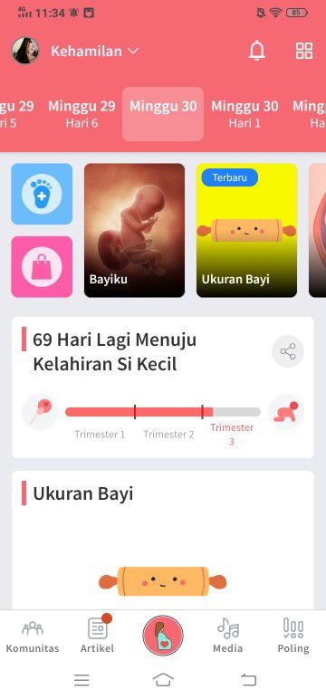 30 week kehamilan