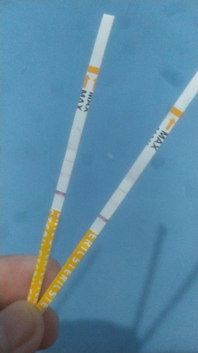 Udah 4 hari telat haid