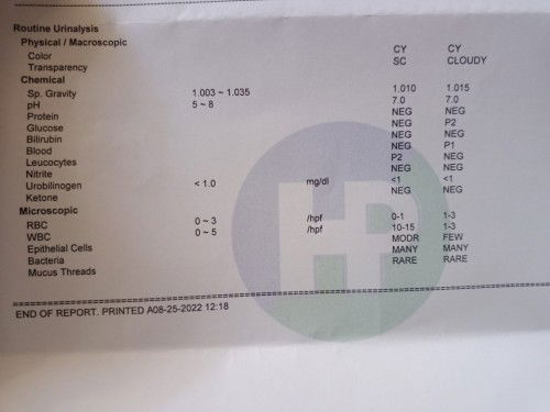 Hello mga mi pwede mag tanong??? URINE RESULT