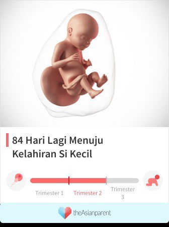 Pergerakn janin aku kmren ber kurang yg kya biasa ya apkah ber dampak ya sm fikiran ibu ya