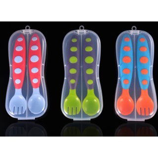 Spoon and Fork with Case